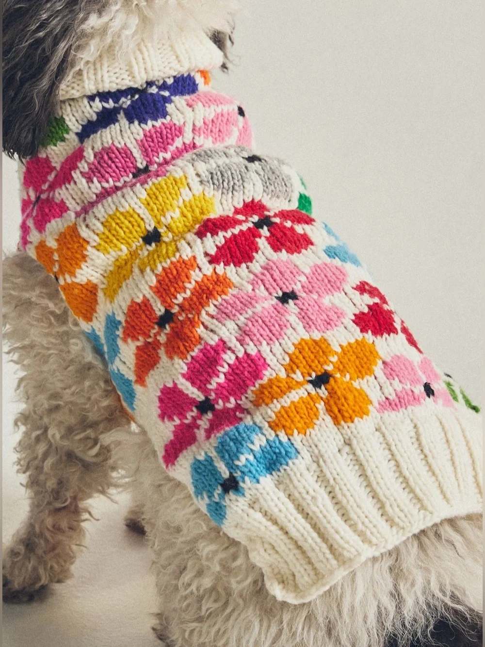 NWT XL Anthropologie Chilly Dog Floral Flower Sweater